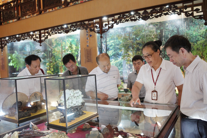 專(zhuān)題報(bào)道