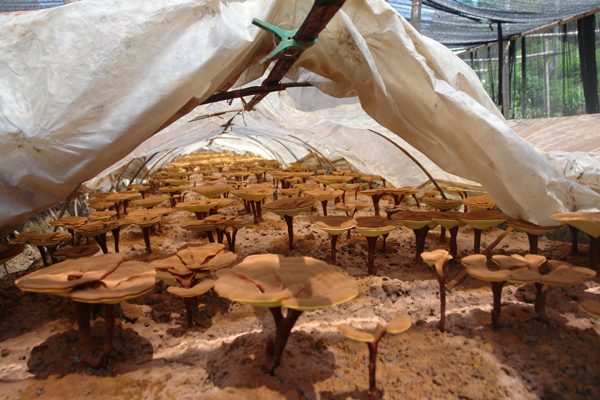 圖片關(guān)鍵詞 圖片關(guān)鍵詞