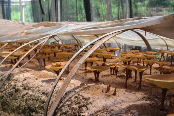 圖片關(guān)鍵詞 圖片關(guān)鍵詞