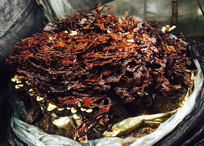 圖片關鍵詞 圖片關鍵詞