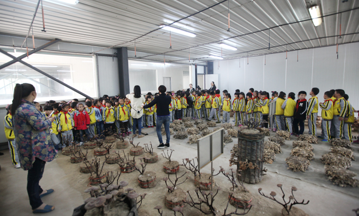 圖片關鍵詞 圖片關鍵詞