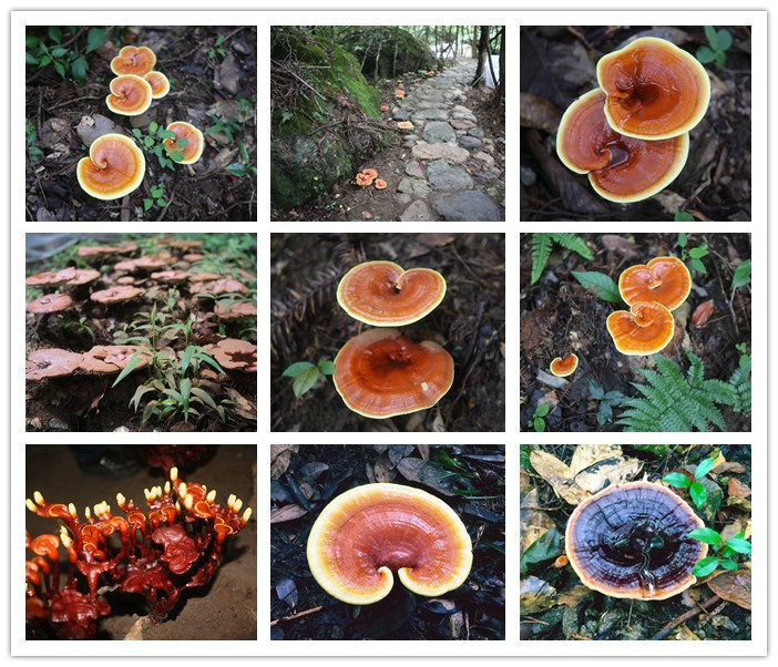 圖片關鍵詞 圖片關鍵詞