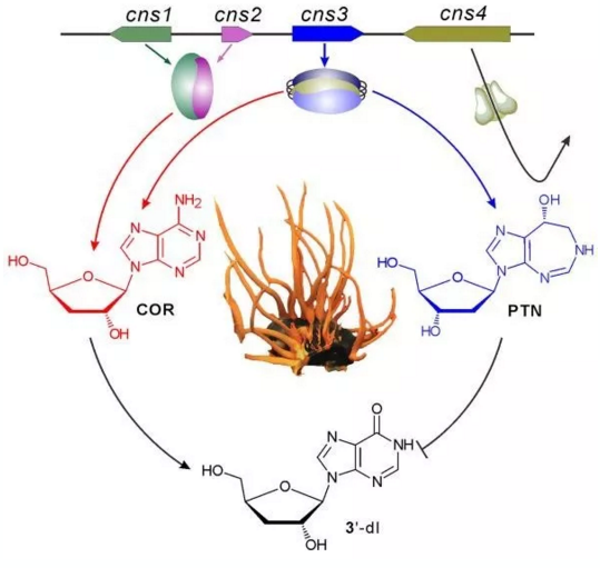 圖片關鍵詞 圖片關鍵詞