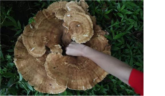 圖片關鍵詞 圖片關鍵詞