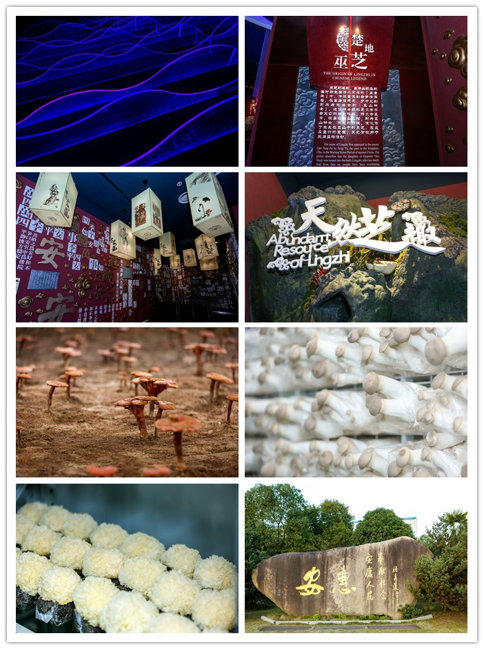 圖片關鍵詞 圖片關鍵詞