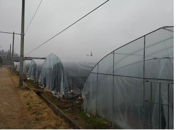 圖片關鍵詞 圖片關鍵詞