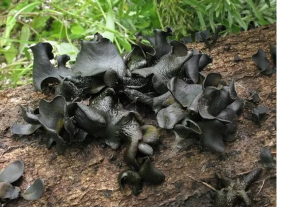 圖片關(guān)鍵詞 圖片關(guān)鍵詞