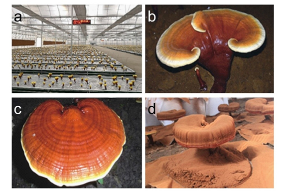 圖片關鍵詞 圖片關鍵詞