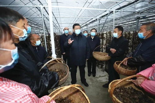 圖片關鍵詞 http://www.mushroommarket.net/file/upload/202004/21/16-38-01-66-283825.jpg