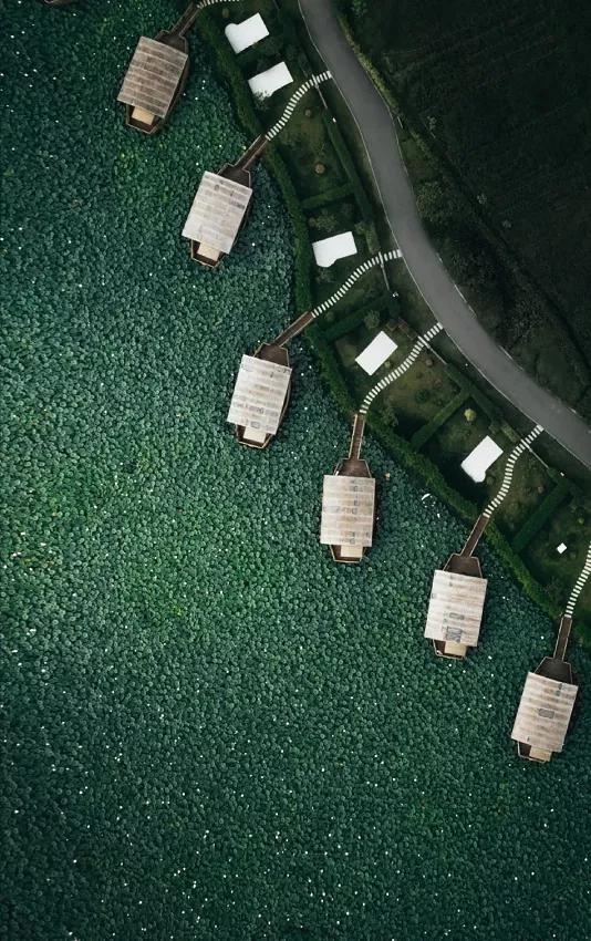 國家蘑菇地理：中國哪里的蘑菇最好吃？