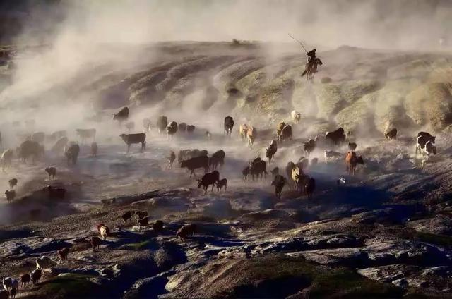 國家蘑菇地理：中國哪里的蘑菇最好吃？