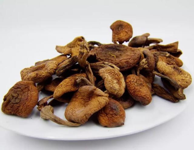 國家蘑菇地理：中國哪里的蘑菇最好吃？