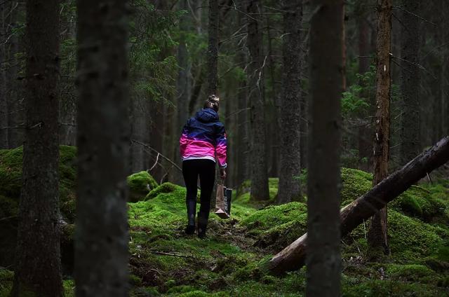 國家蘑菇地理：中國哪里的蘑菇最好吃？