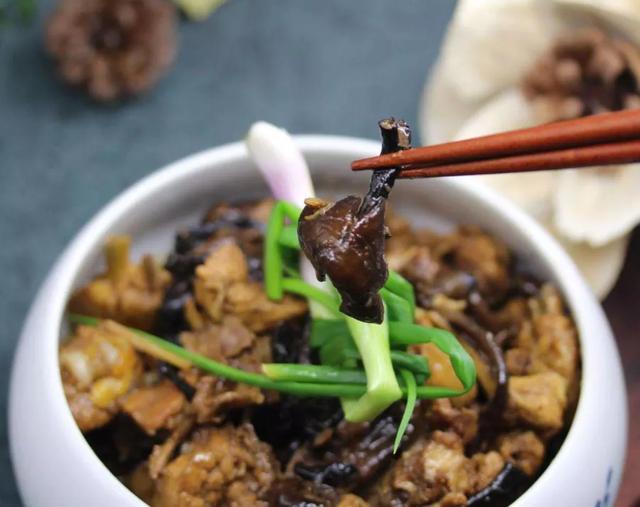 國家蘑菇地理：中國哪里的蘑菇最好吃？