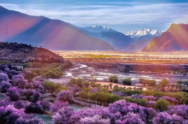 國家蘑菇地理：中國哪里的蘑菇最好吃？