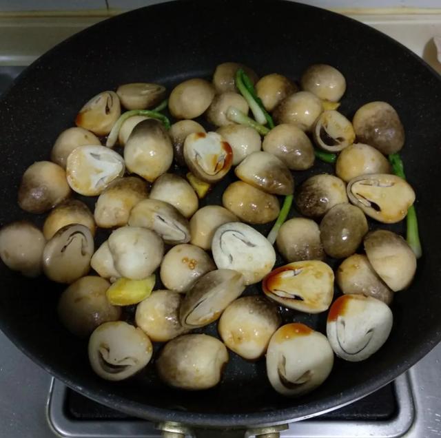 國家蘑菇地理：中國哪里的蘑菇最好吃？