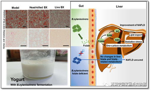 圖片關(guān)鍵詞 https://mmbiz.qpic.cn/mmbiz_png/LiclXRVIjmaFlErm0GMC5gqNvDcibq8J7ZvKLxCjvoEWkbabSxz5tltNu48hRoClBibUPQFkia2EElKOxWsvf1PL0g/640?wx_fmt=png&tp=webp&wxfrom=5&wx_lazy=1&wx_co=1