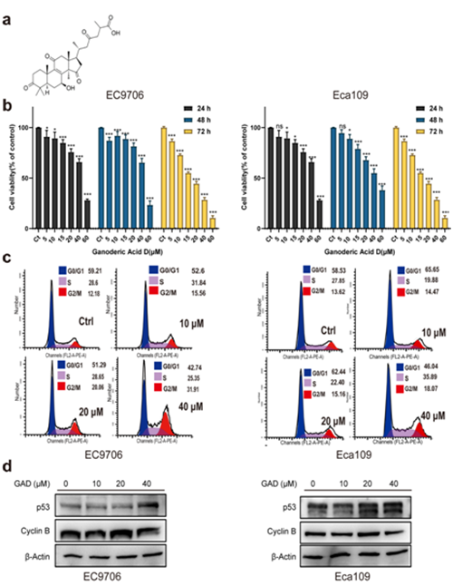 圖片關鍵詞 https://mmbiz.qpic.cn/mmbiz_png/tViaTicjwibVZnnuxTI0eMzfuPJd8DTSZHDrNqZBwONNK18v74kCgr9OhYibFcI4YW8VCQia3Gv3UianDvItmtgOulEQ/640?wx_fmt=png