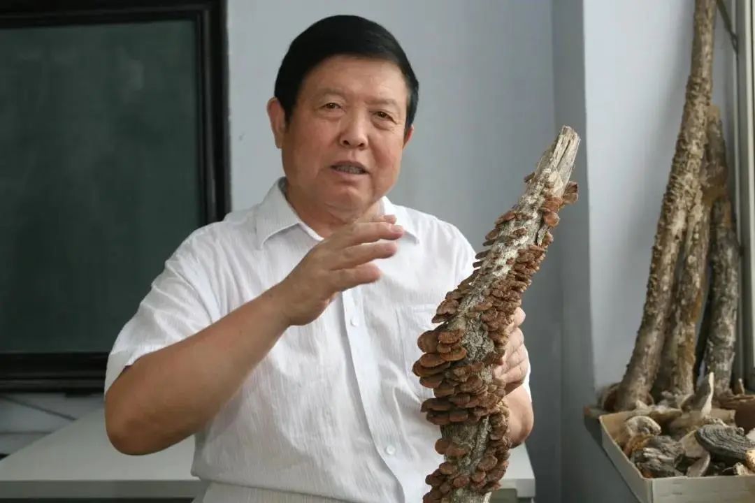 圖片關鍵詞 https://mmbiz.qpic.cn/mmbiz_jpg/OnRbAd1HL44da8qpWCnn2RmJEB4eNMYmF3R2ia9iayCasRmcic7tiaib7JyhNv3ReLiagVYM5E8J04gdO53Rxl8wcfNQ/640?wx_fmt=jpeg