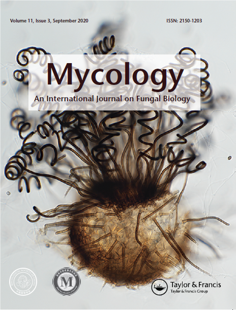 圖片關(guān)鍵詞 https://mmbiz.qpic.cn/sz_mmbiz_png/EuPGW1OAEEPyCgrUXIEjNacQhibI7M4RmMVnjFl3Msnu0YH9UicLRKxDj0b22XGCgCfGj26QIFlF3Kp9yg8Nto6Q/640?wx_fmt=png&tp=webp&wxfrom=5&wx_lazy=1&wx_co=1