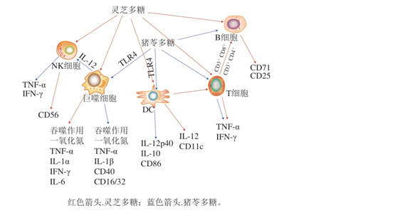圖片關鍵詞 圖片關鍵詞