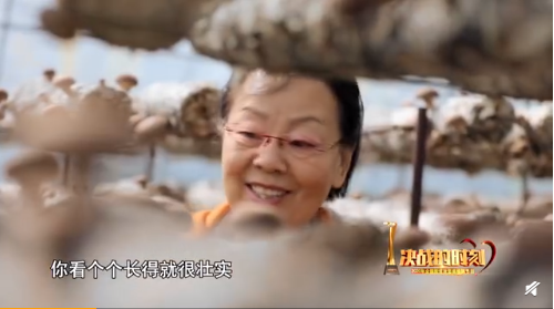 圖片關(guān)鍵詞 https://mmbiz.qpic.cn/mmbiz_png/EzTg6Bqtpm3iblCYHwA5wiacjsibsQCgmow8o50Nyw1MCk8TI4S2npZqJEIY15gzulo9eyyfzAEZAHiaSxQy3jbafA/640?wx_fmt=png