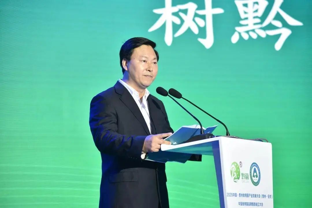 圖片關(guān)鍵詞 https://mmbiz.qpic.cn/mmbiz_jpg/tViaTicjwibVZmgEXXCALToc7mAB2rFo1LnVcNfxojtErN4HevnNspGAkxb2eGzqUl9R6NHDOVZ417IQEBLYFg1Bw/640?wx_fmt=jpeg