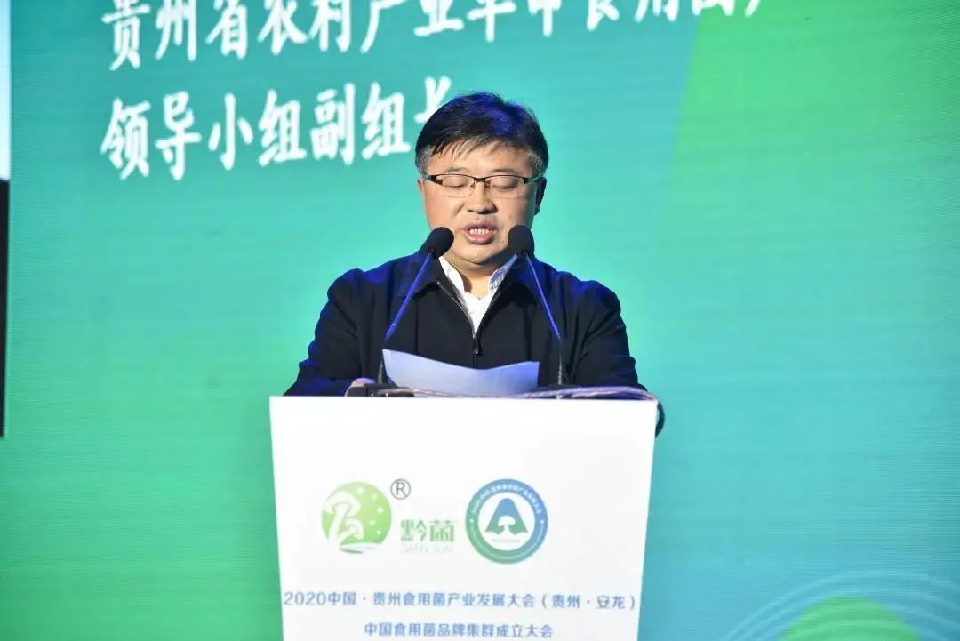 圖片關(guān)鍵詞 https://mmbiz.qpic.cn/mmbiz_jpg/tViaTicjwibVZmgEXXCALToc7mAB2rFo1LnlVmMIl2tdjKgzMCs6Yt0kzJ8ngO2cGyNVw4OUe3MZMN4c5ZqW6U68w/640?wx_fmt=jpeg