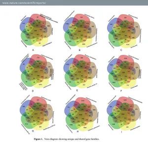 圖片關鍵詞 圖片關鍵詞