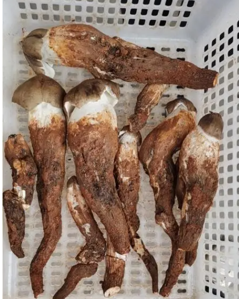 圖片關鍵詞 圖片