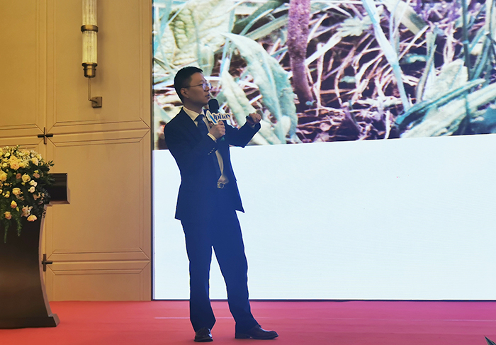 圖片關鍵詞 圖片關鍵詞