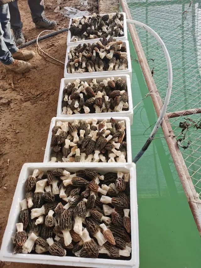 圖片關鍵詞 https://mmbiz.qpic.cn/mmbiz_jpg/qmUUOFzKOySicbjjG0D3GtIeiamkVc4vX04nXVO2qdFZ0Pj86iaaqib1mljMA1CFsTSmqKLtNQsYUl0xIicMmPia96Aw/640?wx_fmt=jpeg