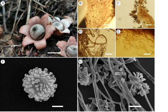 圖片關鍵詞 圖片關鍵詞