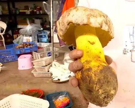 圖片關鍵詞 圖片